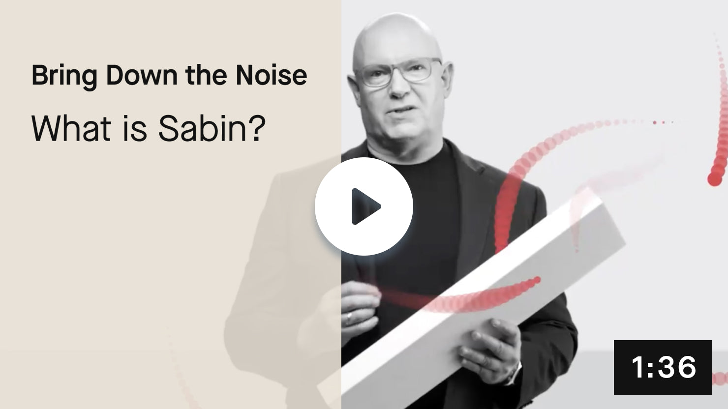 Bring Down the Noise - What is Sabin?